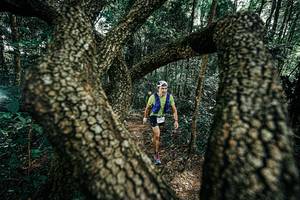 BIB: 
                            <button type="button" onclick="openModal(25392492)" class="btn btn-primary btn-sm float-right btn-popup" data-toggle="modal" data-target=".modal-high-quality">
                        <i class="fas fa-shopping-cart"></i> Add to Cart
                    </button>
                                            <button type="button" onclick="isThisMe(25392492, true)" class="btn btn-success btn-sm float-right btn-popup btn-isme hidden" data-toggle="tooltip" data-placement="bottom" title="นี่คือรูปของคุณใช่ไหม คลิกที่นี่เพื่อเอาเข้าอัลบั้ม">
                        <i class="fas fa-plus"></i> Add to album
                    </button>
                    <button type="button" onclick="isThisMe(25392492, false)" class="btn btn-warning btn-sm float-right btn-popup btn-isnotme hidden">
                        <i class="fas fa-ban"></i> Remove from album
                    </button>